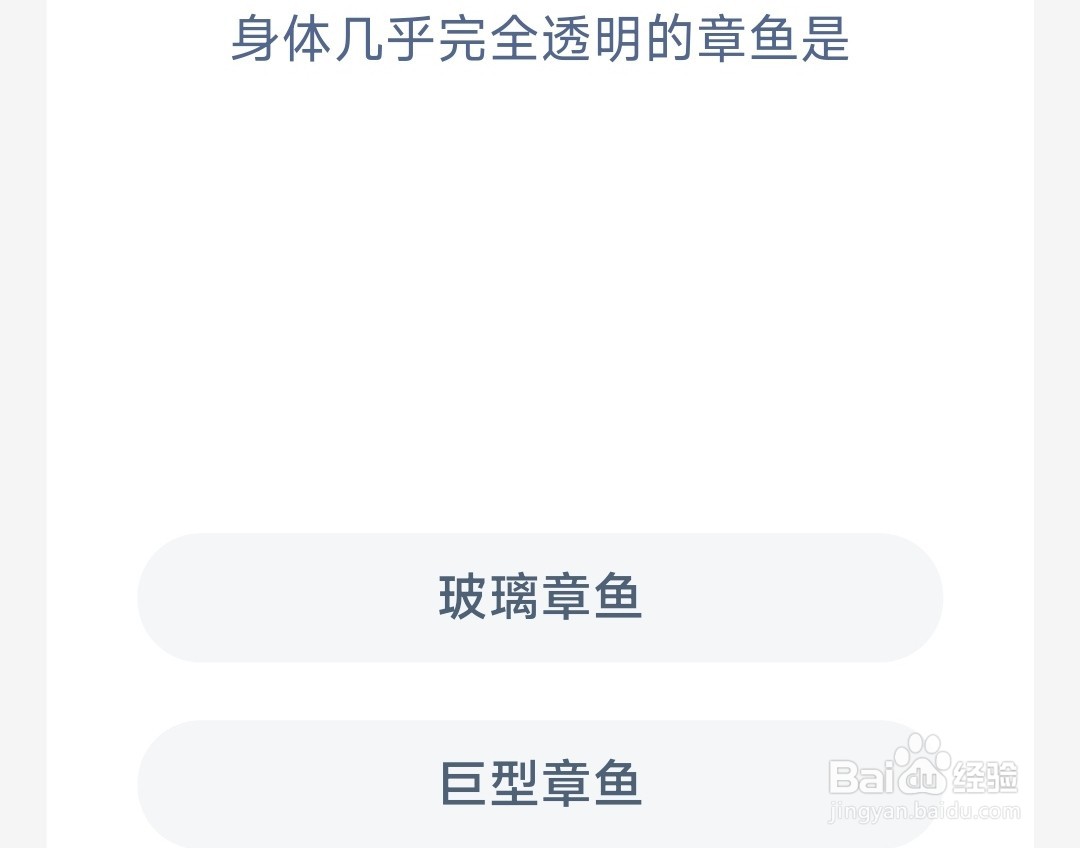 神奇海洋:身体几乎完全透明的章鱼是