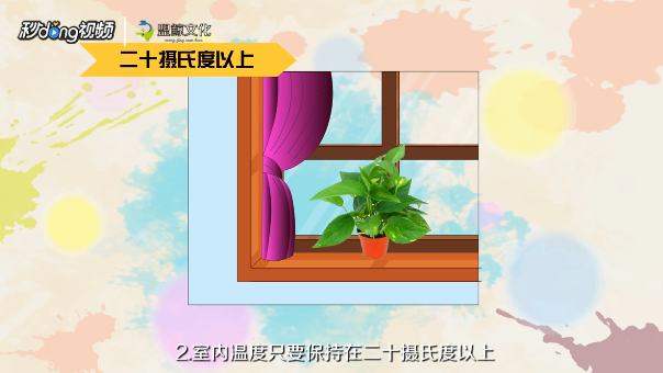 绿萝的养殖的注意事项有哪些