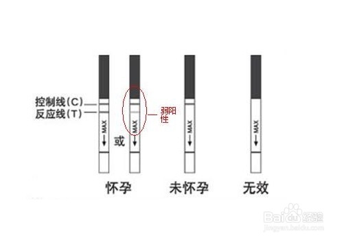 怀孕第几周出现早孕症状