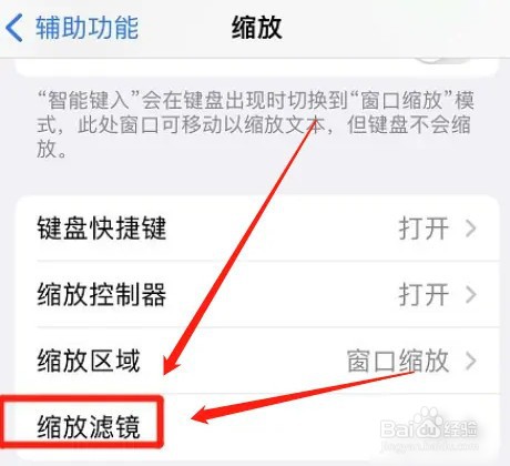 苹果缩放如何开启灰度滤镜