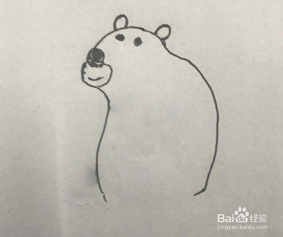 如何画大笨熊的简笔画