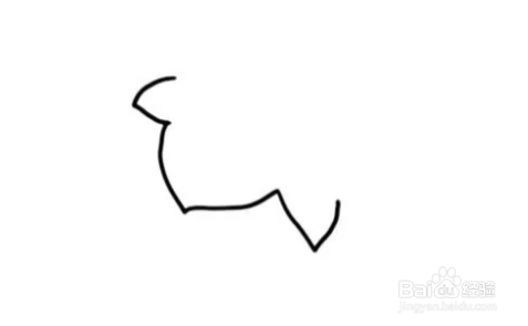 风铃草简笔画