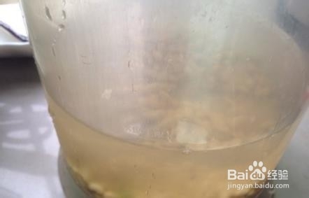 五谷豆浆--饮品教程