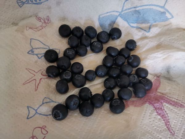 蓝莓香蕉吐司披萨