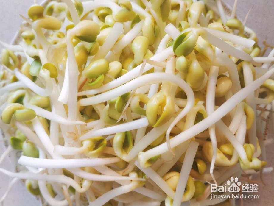 韭菜炒豆芽的做法