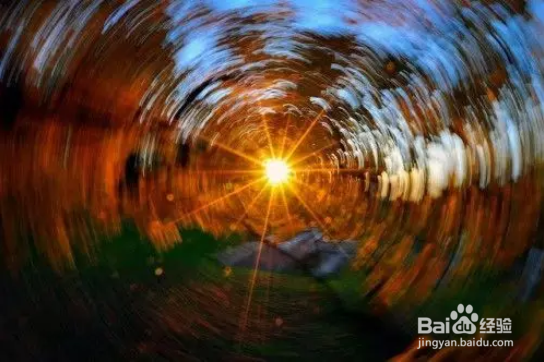 秋季如何拍出好照片？看完这篇文章你就全懂了！