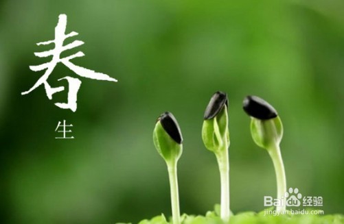 中医谈如何养肝