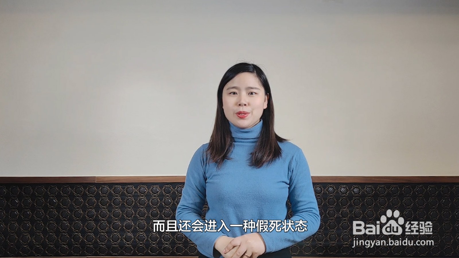 小青蛙怎样过冬