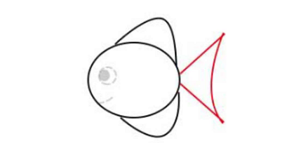 简笔画如何画小鱼