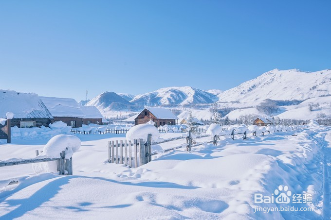 喀纳斯冬季2日畅游雪域,简单畅玩喀纳斯