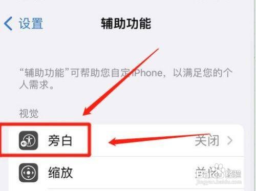 如何输出苹果手机八点式盲文呢