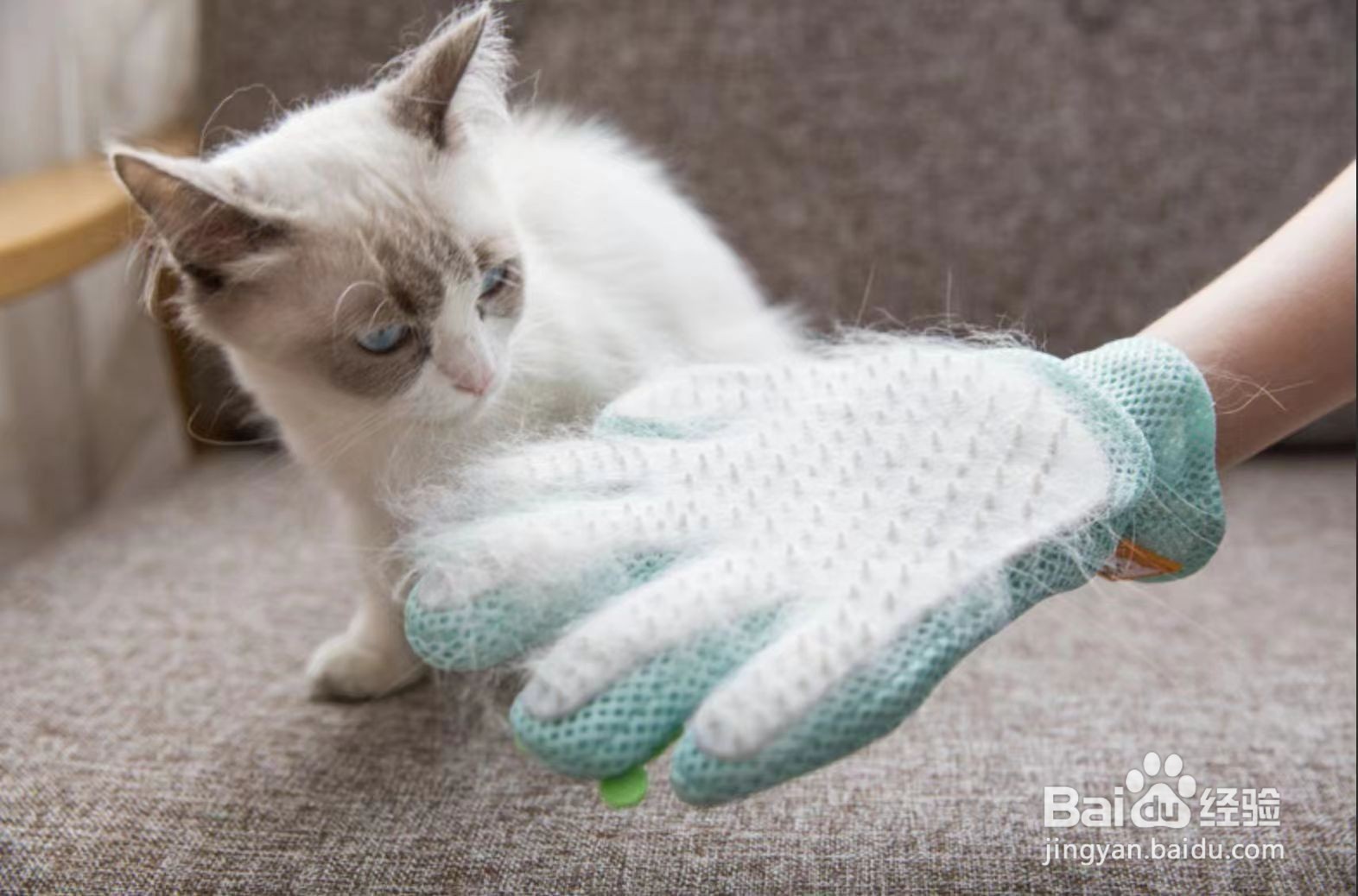 衣服上的猫毛怎么快速去除