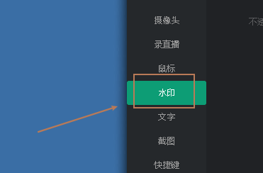 轻映录屏开启水印