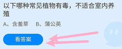 以下哪种常见植物有毒,不适合室内养殖