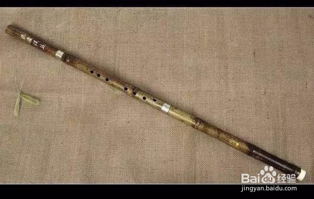 哪些乐器简单好学？