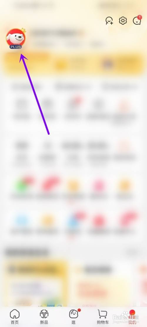 在哪才能看京东消费总额