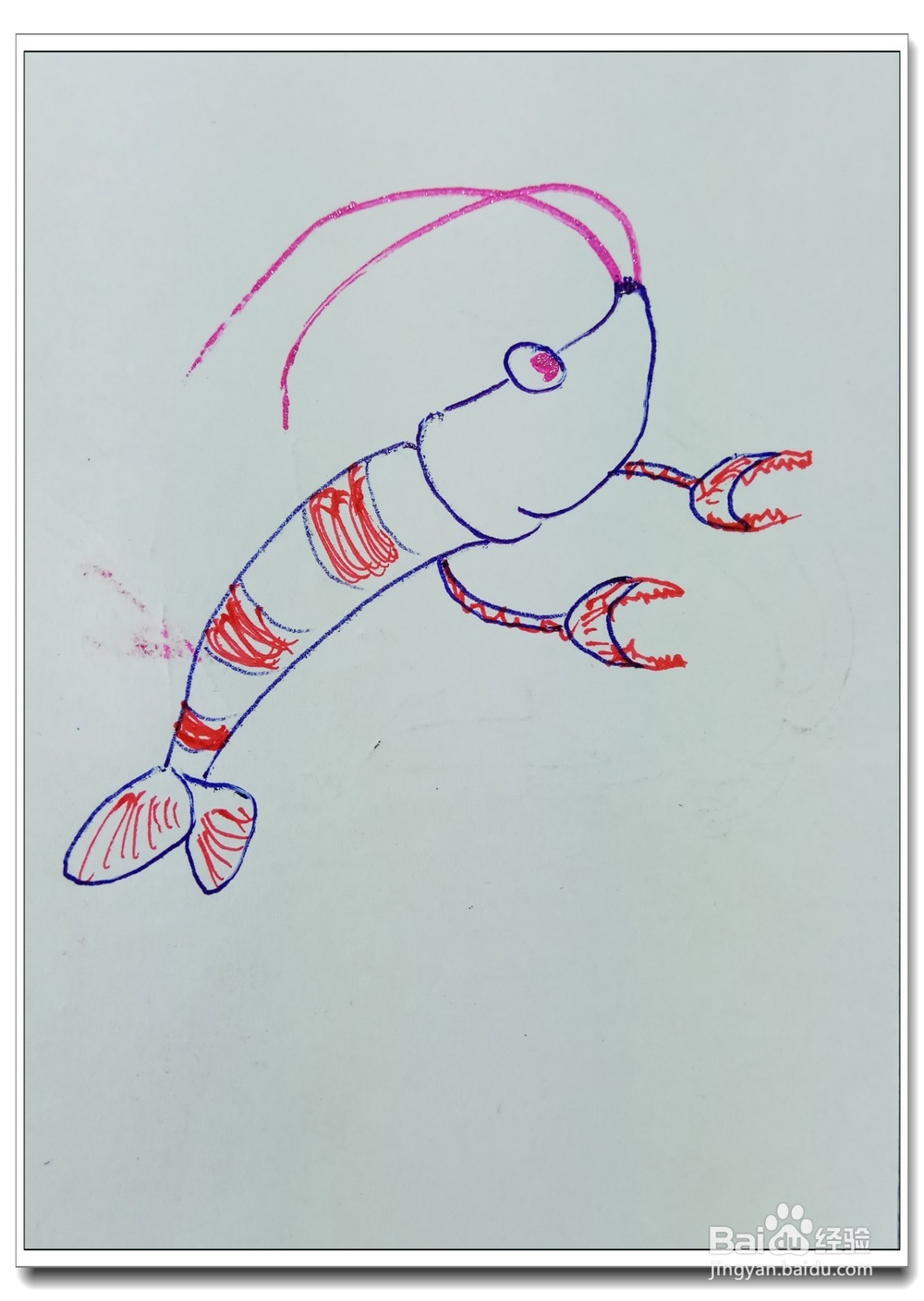 怎样画简笔画“漂亮的大虾”？