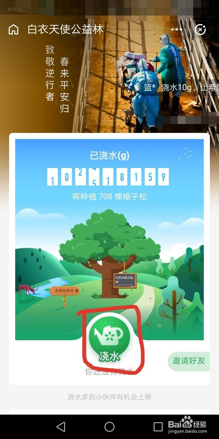 手机支付宝怎么参加植树活动怎么领活动奖励