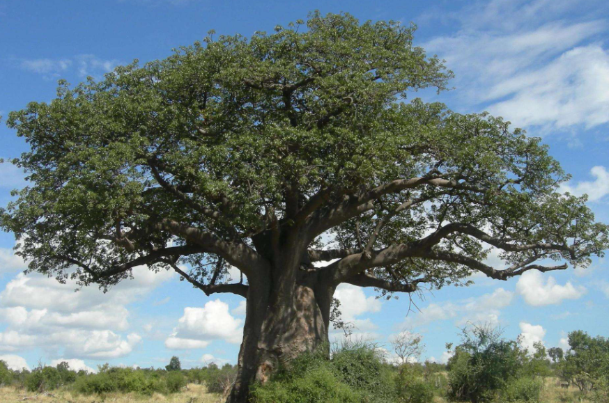 简短数学小知识有哪些