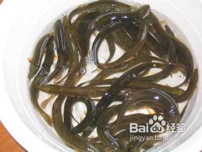 男性补肾壮阳的六种肉类食物推荐