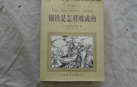 《钢铁是怎样炼成的》章节概括50字怎么写