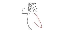 简笔画---怎么画鹦鹉