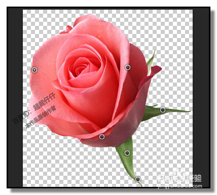 PS中，操控变形怎样用？