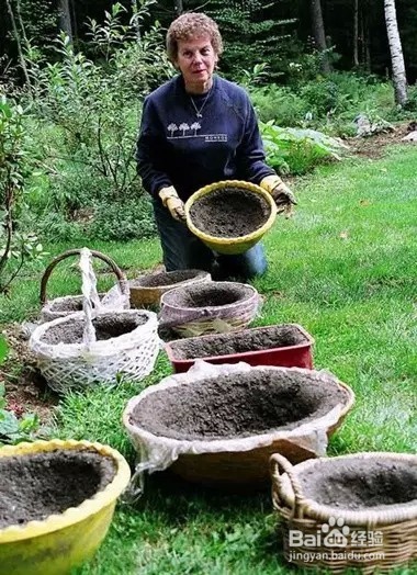 变废为宝，水泥也可做花盆啦！