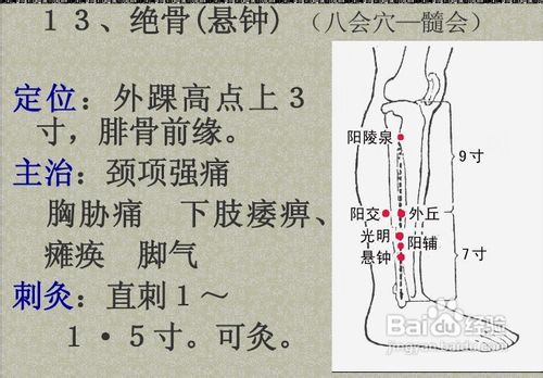 中医经络知识之足少阳胆经图解