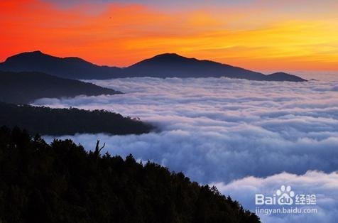 宝岛台湾旅游攻略：[3]阿里山旅游攻略