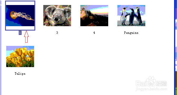 XP缩略图显示有缺陷