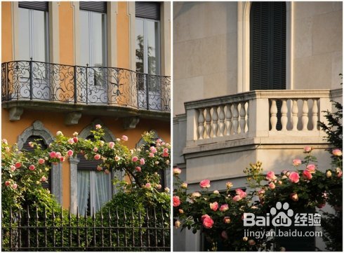 [转载]攀上梦的边缘开放