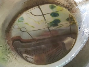 食补养生清爽鲜虾黄瓜盅