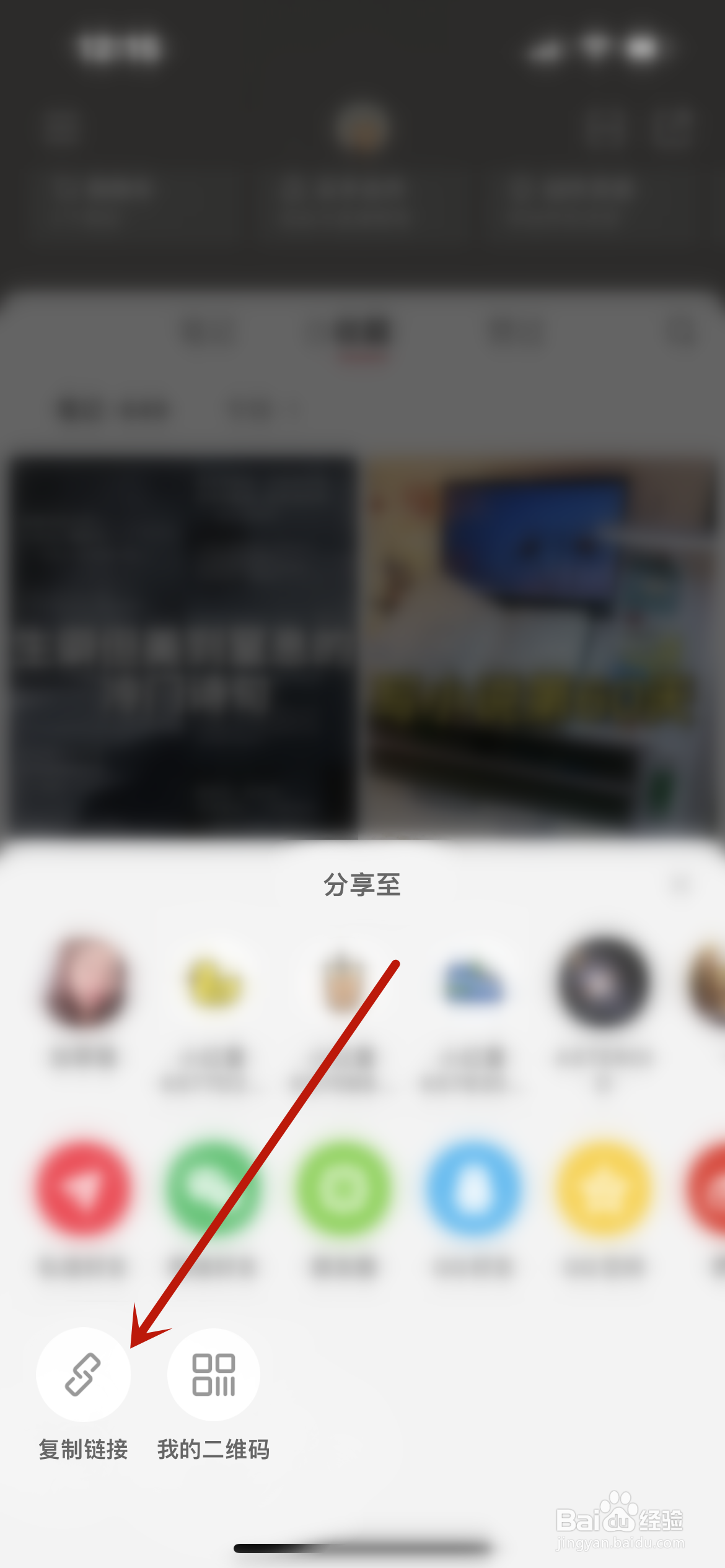 小红书怎么分享主页链接