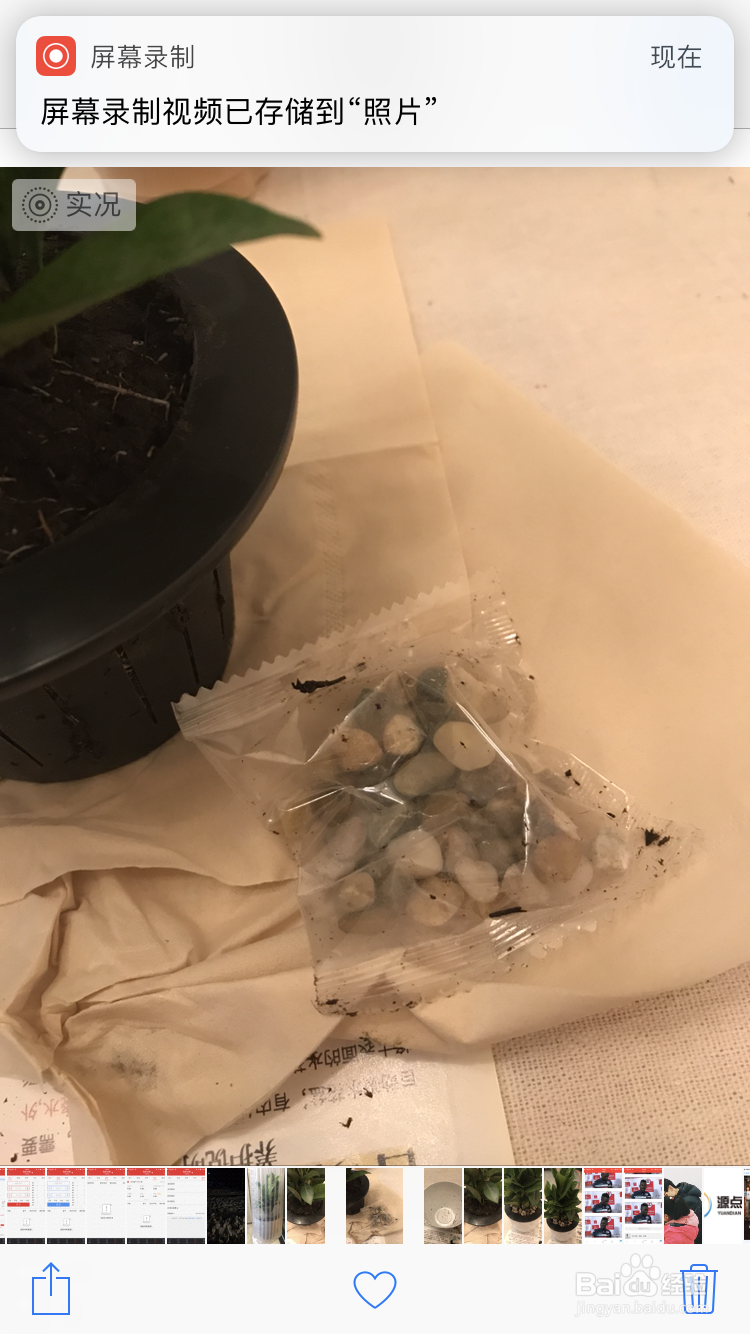 苹果手机怎么将照片变为视频