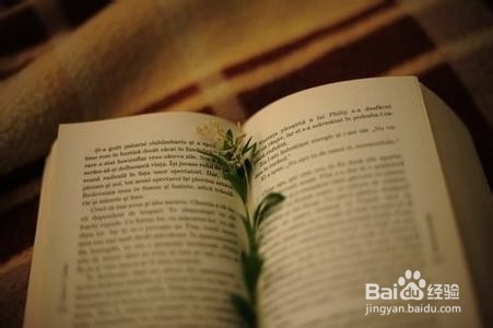 大三的生活学习规划