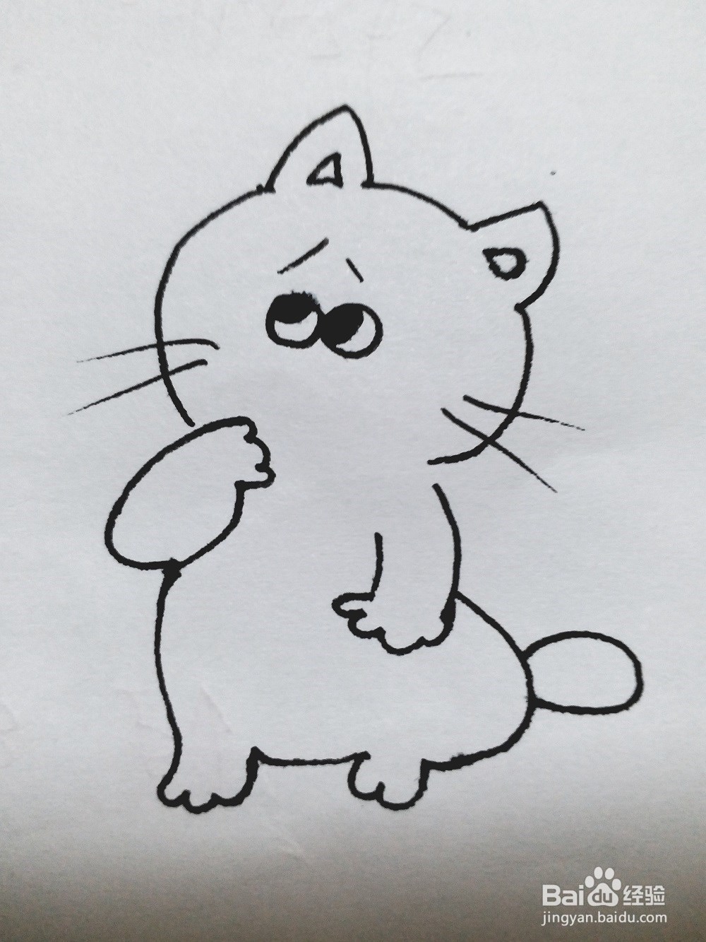 猫的简笔画法《一》
