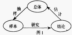 怎么分析统计调查中的数据和展示