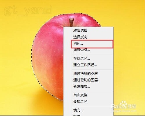 Photoshop入门教程之PS快速选择工具及复制图层