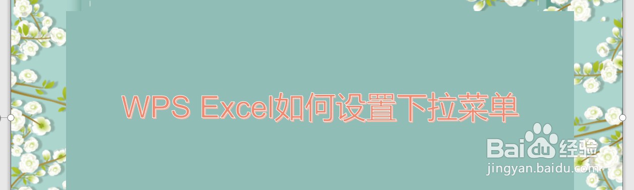 WPS Excel如何设置下拉菜单