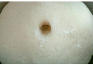 肉松面包的做法