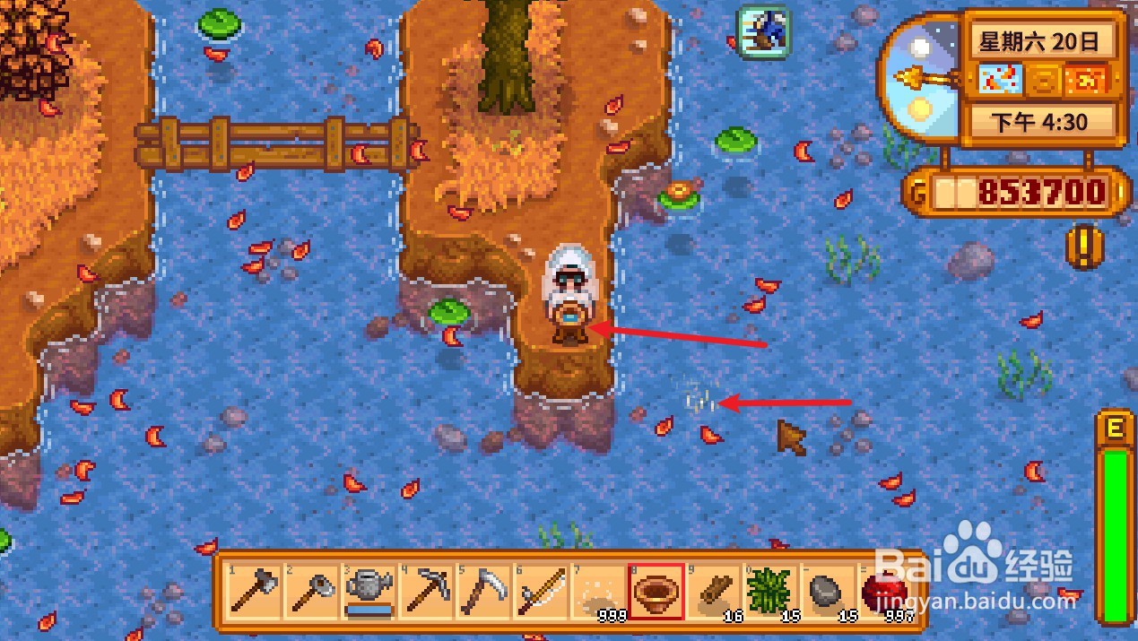 星露谷物语淘盘怎么用