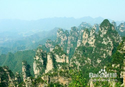 成都到张家界旅游小贴士