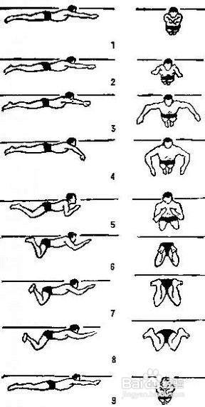 如何学游泳 _如何学游泳?-第1张图片-潮百科