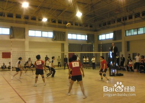 排球击球后哪些行为是违规？