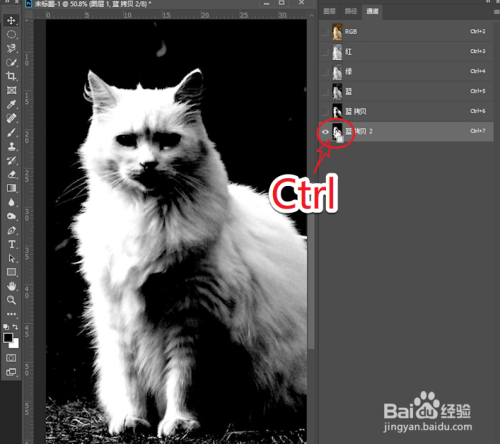 PS如何用通道抠图将猫咪毛发调的更加透亮?