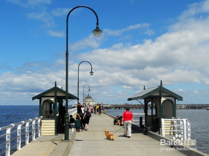 澳洲游记：[22]墨城林荫大道