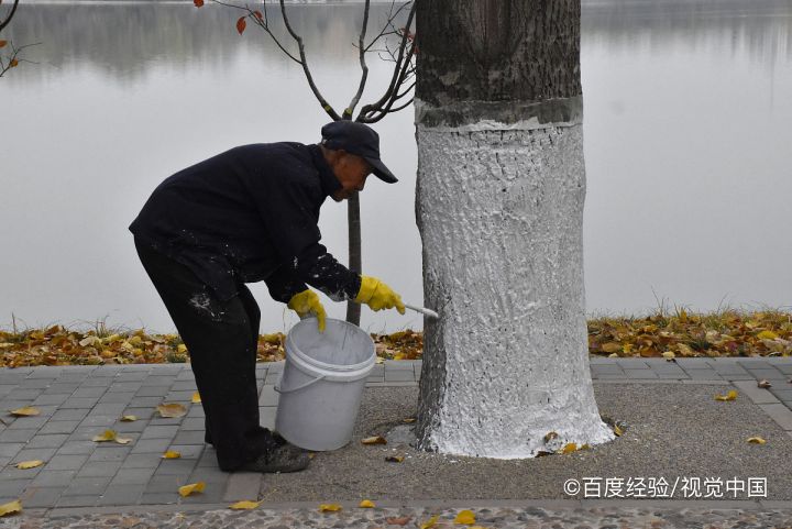 防霉的方法有什么