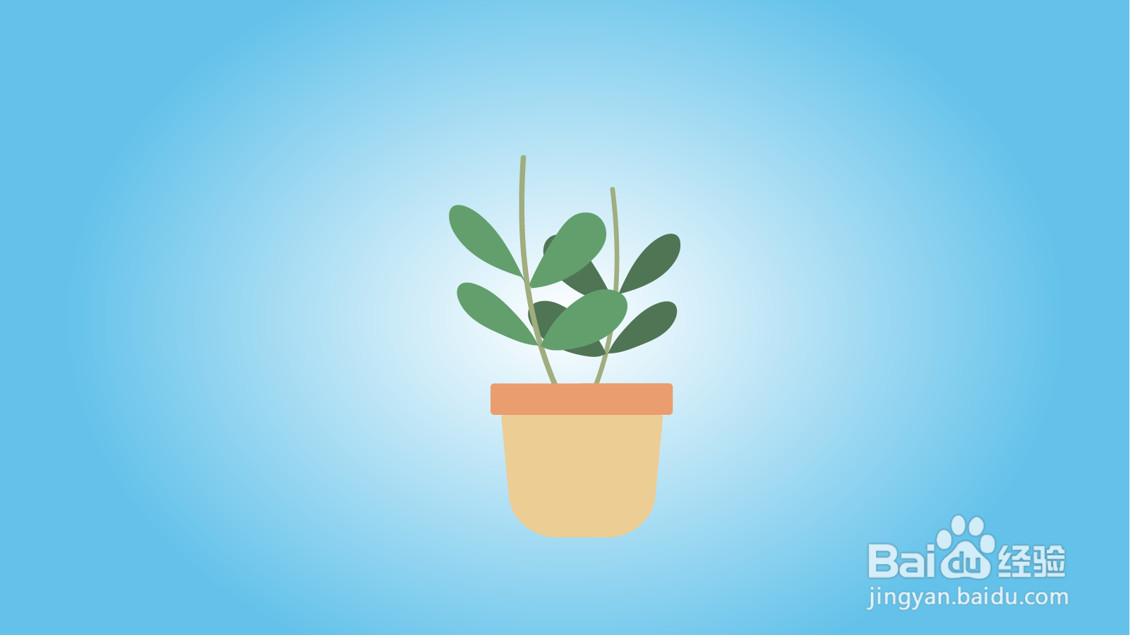 如何画卡通花卉盆栽？