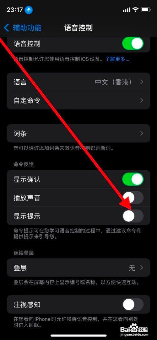 苹果11pro手机语音控制怎么开启显示提示